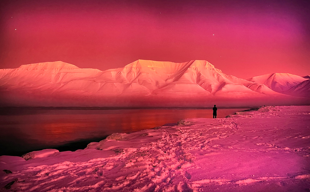 Studiereizen Ellen Brouwers